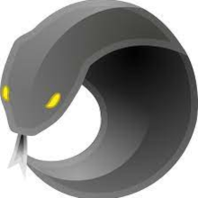Icon for