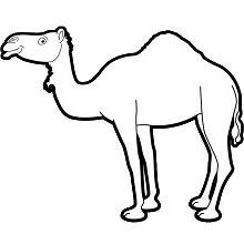 Icon for Exiftool (x64) Portable